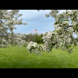 Meet your Posher, Jim